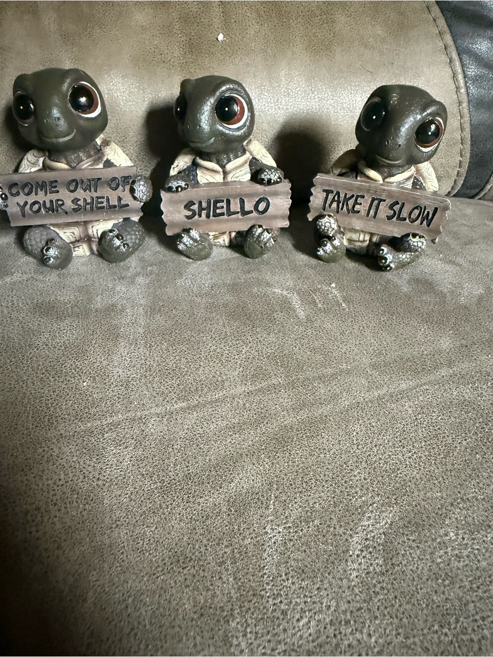 3-turtles holding signs one says take it slow